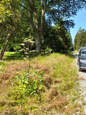 20250813_115327.jpg
