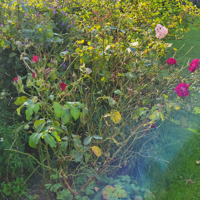 20250813_185716.jpg
