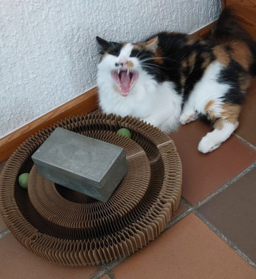 Irgendwann etwas langweilig