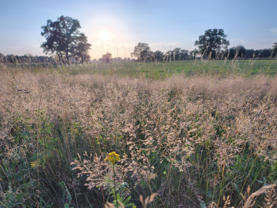 IMG_20250810_200346098_HDR.jpg
