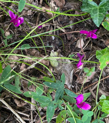 IMG_7189.jpeg
