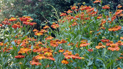 20250813_093614.jpg