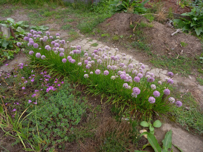 20250804_122559[1].jpg