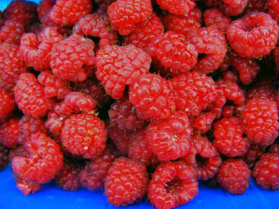 himbeeren__16.11.08_001-1_Desktop_Auflosung.jpg