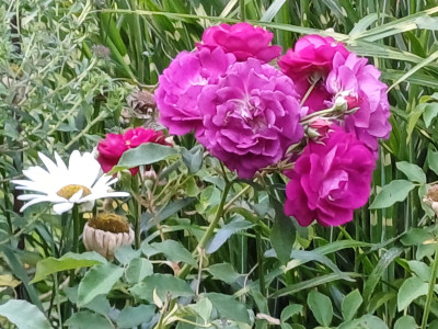 20250815_101811.jpg