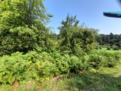 20250815_113145.jpg