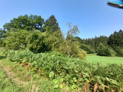 20250815_113209.jpg