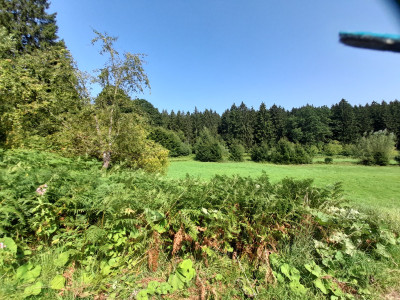 20250815_113212.jpg