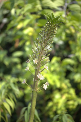 3Q7A8568.jpg