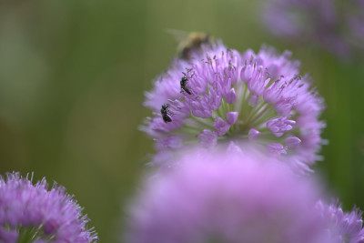 3Q7A8546 - Kopie.jpg