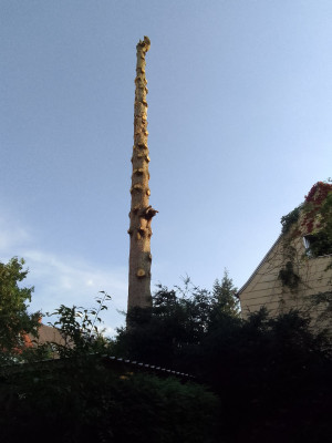 Über 100 Jahre alt