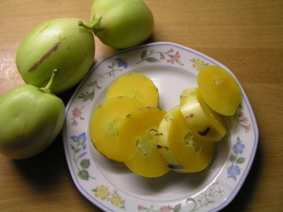 pepino-16nov08.JPG
