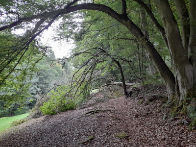20250816_172427.jpg