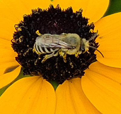 20250817_231827.jpg
