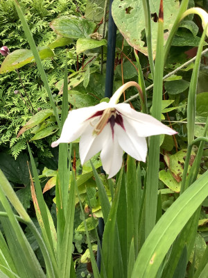 IMG_0628.jpeg