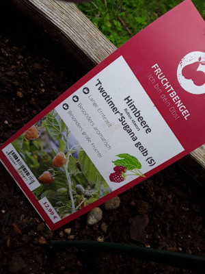 Himbeeren