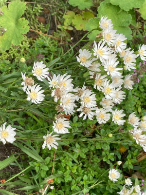 IMG_0840.jpeg