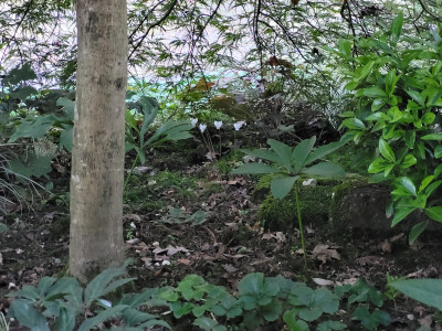 20250819_191101.jpg