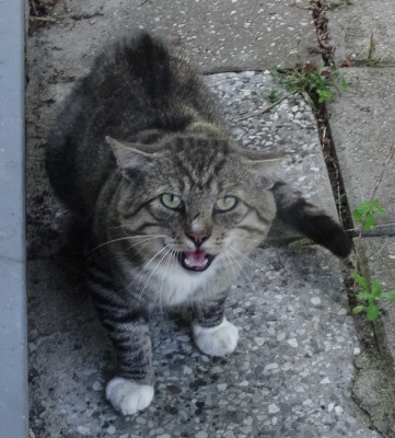 lilly07.jpg