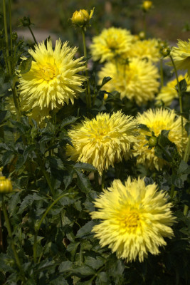 3Q7A8959.jpg