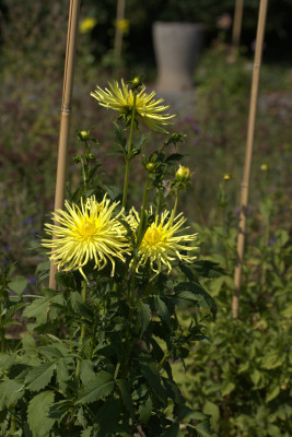 3Q7A9066.jpg