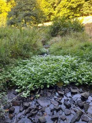 20250820_171606.jpg