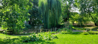20250820_151548.jpg