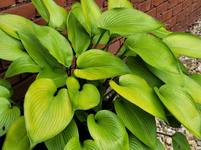 20250822_105759.jpg