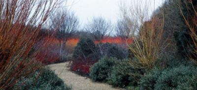 Winterwalk_Anglesey_Abbey.jpg