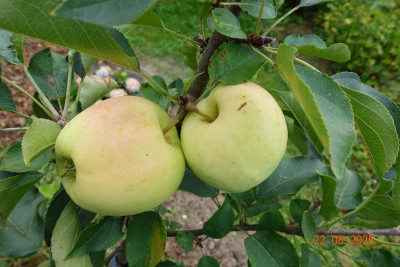 DSC00024.JPG