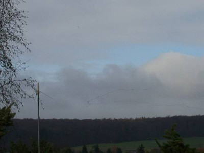 Kranichzug_2008_006_k.jpg