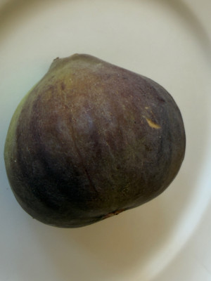 IMG_0145.jpeg