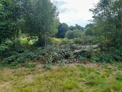 20250824_093220.jpg