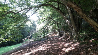 IMG-20250825-WA0007.jpeg