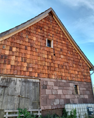 20250826_095749.jpg