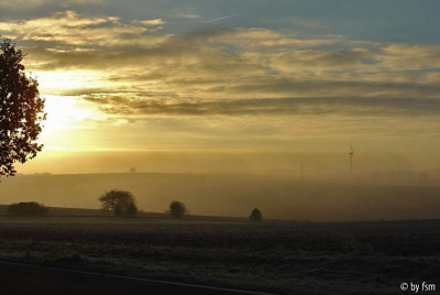 Morgen-2-15-11-2004-ph.jpg