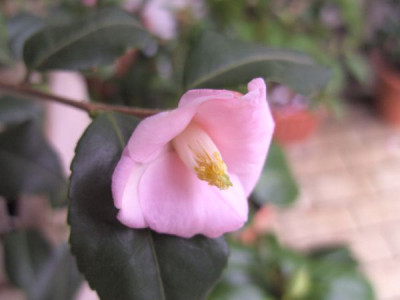 BILD7451.JPG