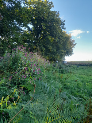20250830_170036.jpg