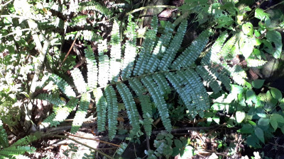 IMG-20250830-WA0009.jpg