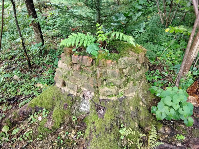 20250829_103820.jpg