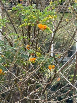 IMG_9358.jpeg