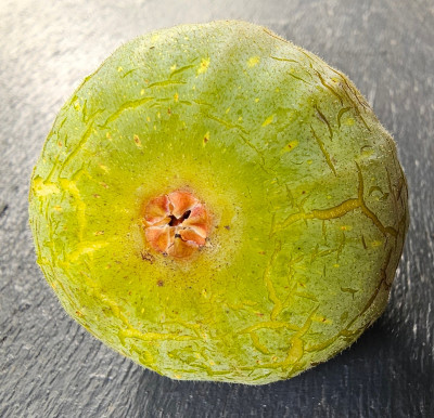 La Magdaleine FDM aussen2.jpg