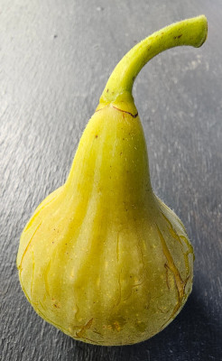 La Magdaleine FDM aussen1.jpg