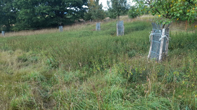 signal-2025-08-24-16-37-10-328.jpg