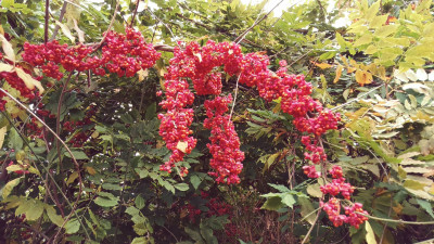 20241108_141524.jpg