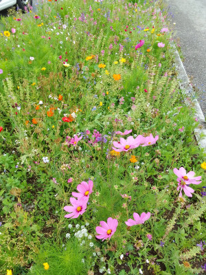 Bunte Mischung