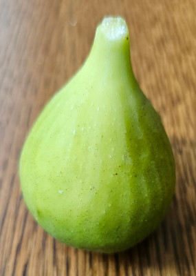 Mei Li Ya Herbstfeige aussen1.jpg