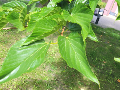20250904_123120.jpg