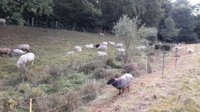 IMG-20250906-WA0004.jpeg