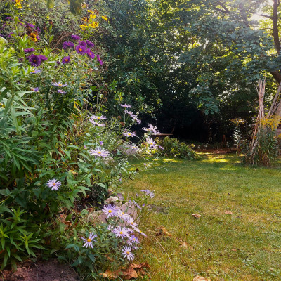 20250905_131119.jpg